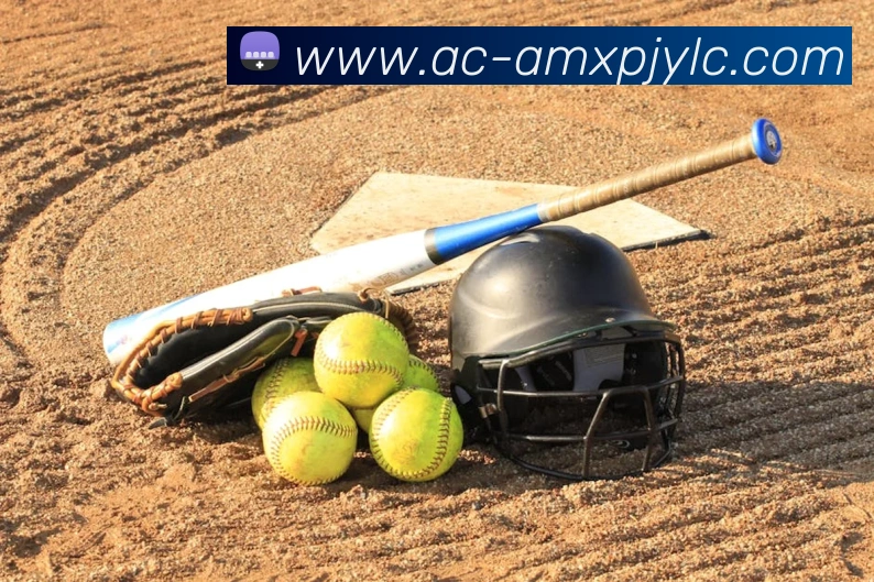 澳门新葡京娱乐APP 封面图